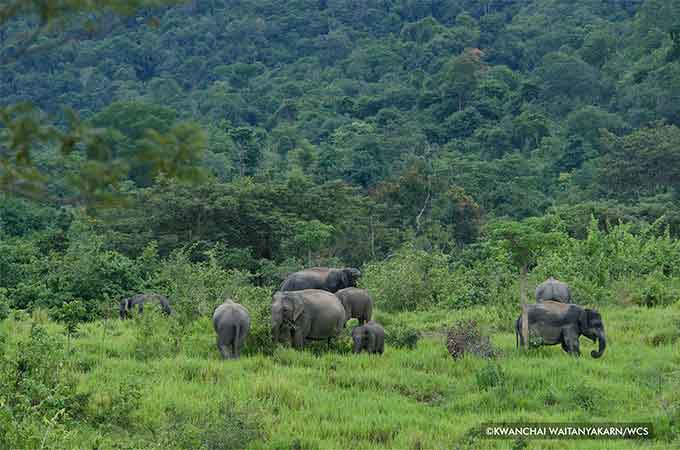 the necessity of the preservation of the asian elephant Mummy from 3,600 bc disproves 'natural preservation' theory, note: to clarify something, eating fruit is not a necessity for a healthy life. the necessity of the preservation of the asian elephant Mummy from 3,600 bc disproves 'natural preservation' theory, note: to clarify something, eating fruit is not a necessity for a healthy life.